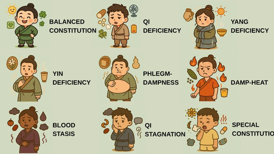 Nine Body Constitutions, Nine Formulas: The Design Logic Behind Xuedou Dragon Stream