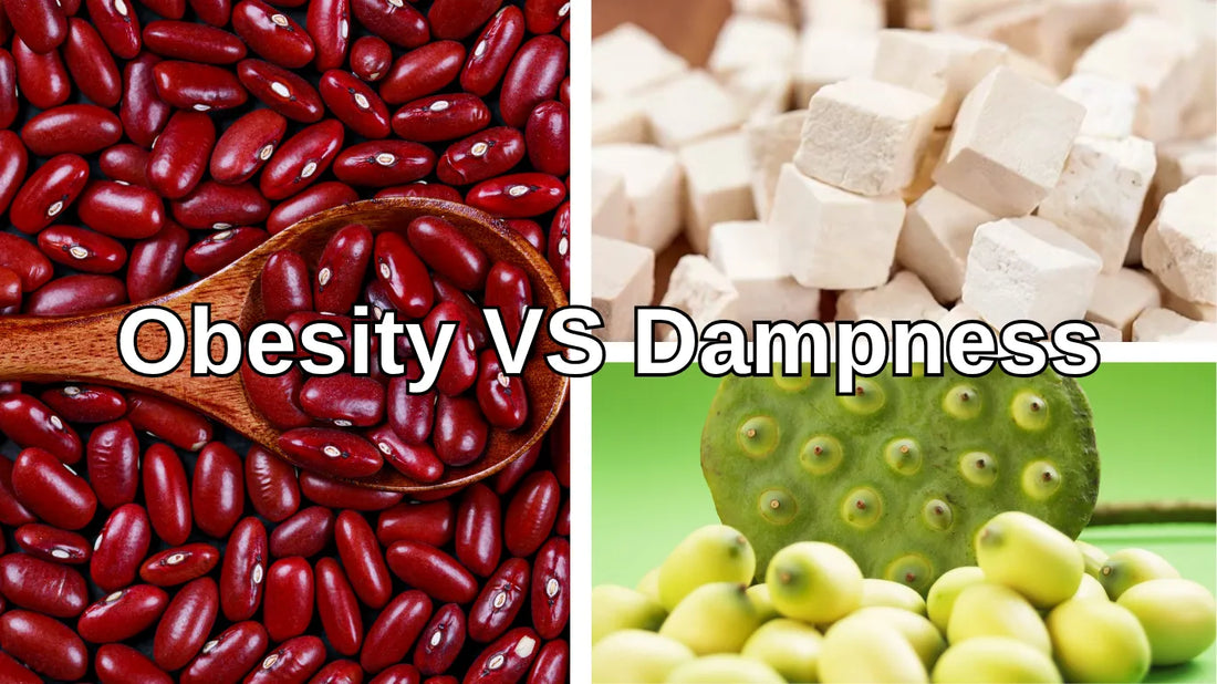 Dampness in Chinese Medicine: How to Remove at Home