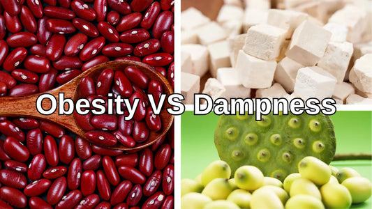 Dampness in Chinese Medicine: How to Remove at Home
