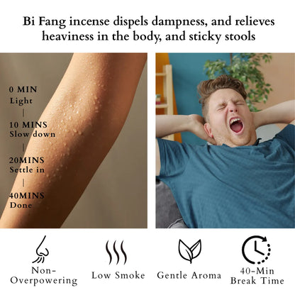 bi fang incense sticks dispel body dampness and tiredness